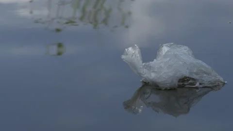 Trash of empty bag floating on the river Stock Footage 132352017