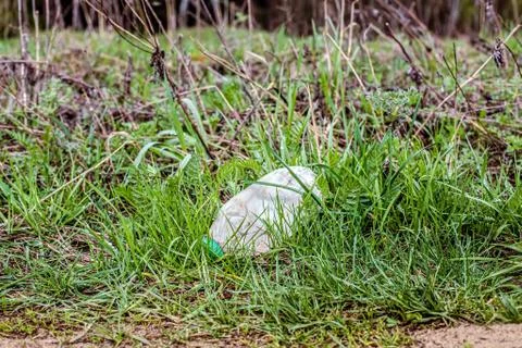 Trash empty plastics bottle lies in the green grass of the forest. concept ec Stock Photos