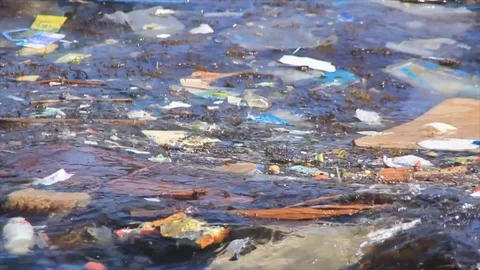 Trash float in water Stock Footage 72986006