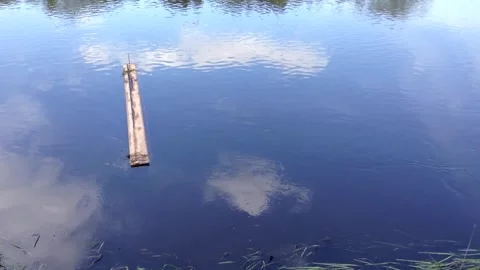Trash floating in the river Stock Footage 281725923