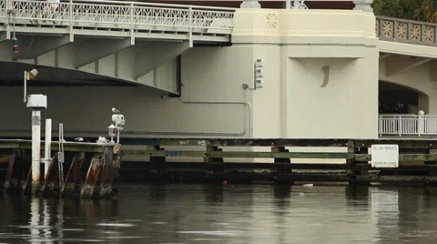 Trash floating under a bridge 스톡 동영상 33894767