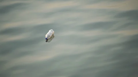 Trash floating in water. Stock Footage 112040514