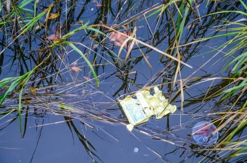 Trash floating in the water. Stock Photos