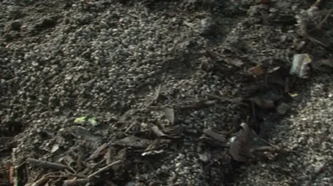 Trash Video stock 975449