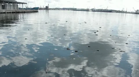 Trash Stock Footage 12366955