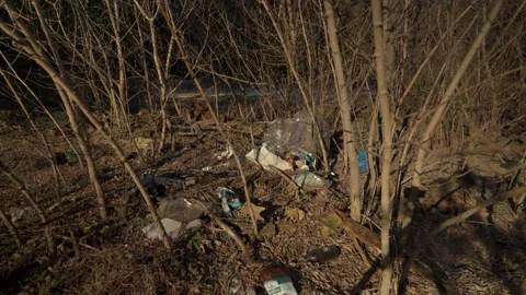 Trash in forest. Environmental Pollution Ecological Problem Concept. Stock Footage 170432943