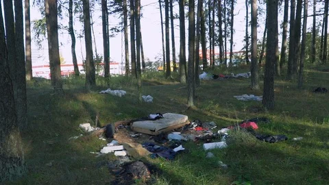 Trash in the forest, old clothes. ecology Stock Footage 86523690