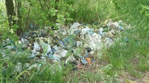 Trash In The Forest Fotos de archivo