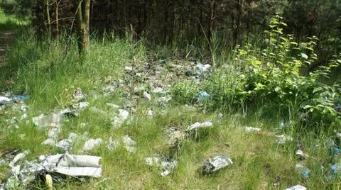 Trash In The Forest Stock-Fotos