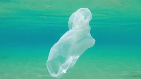 Trash Free Seas: Plastics in the Ocean - Ocean Conservancy. Vídeos de archivo 334660408