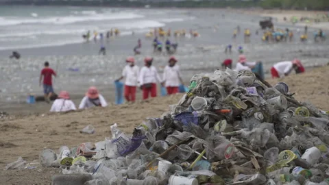 Trash, Garbage, Plastic Waste Cleanup Beach - Bali Indonesia Stock Footage 146326783