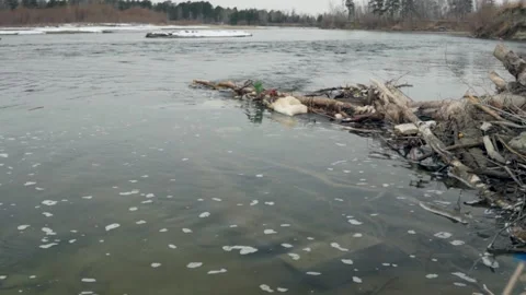 Trash garbage pollution in a river with fallen tree. Stock-Footage 153088417