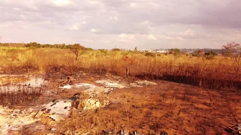 Trash Granja do Torto Stock Footage 160012490