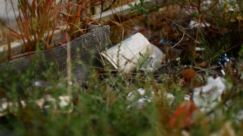 Trash on the grass in a park area. Trash left by people, environmental disaster Video stock 120421500