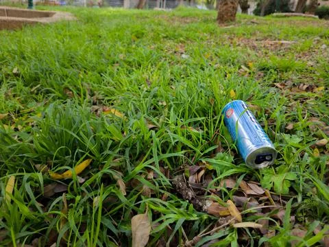 Trash on Grass Stock Photos