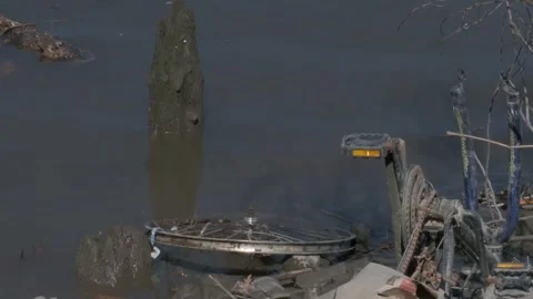 Trash in Grass by the River Stock Footage 306199284