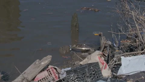 Trash in Grass by the River Stock Footage 306199286