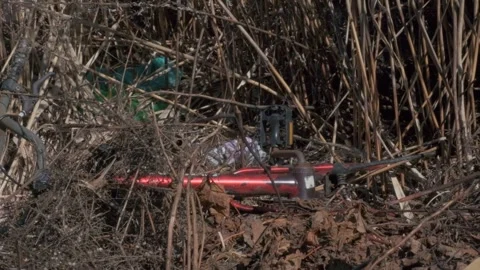 Trash in Grass by the River Stock Footage 306199289