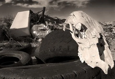 Trash heap Foto stock