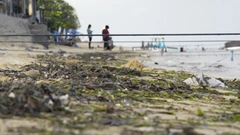 Trash on Indonesian beach 库存影片 149519015