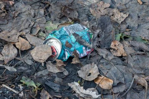 Trash in the leaves. Environment concept. High quality photo. Stock Photos