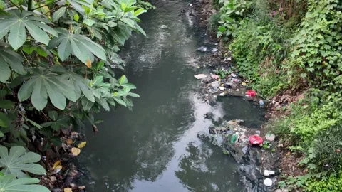 Trash in the little river Stock Footage 342213663