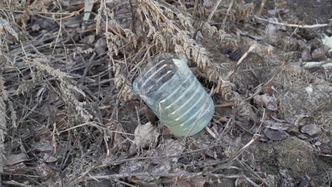 Trash lying in nature, environmental disaster. Video stock 301385085