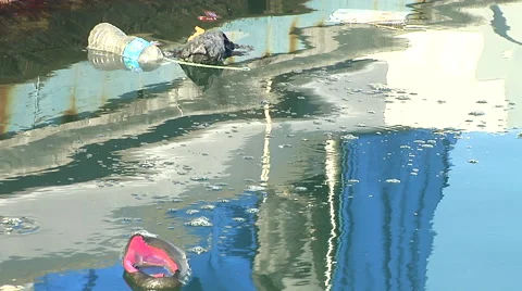 Trash in the Marina Stock Footage 41380687