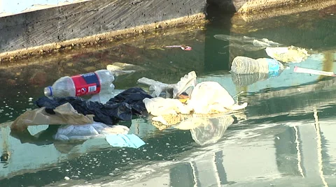 Trash in the Marina Stock Footage 41380691