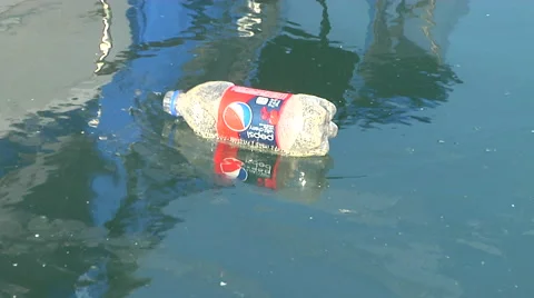 Trash in the Marina Stock Footage 41380695