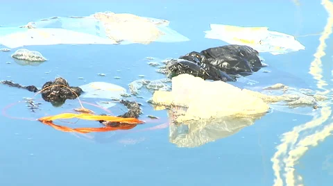 Trash in the Marina Stock Footage 41380700