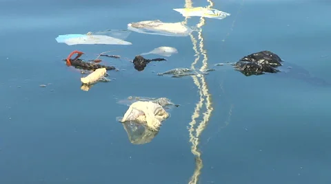 Trash in the Marina Stock Footage 41380702