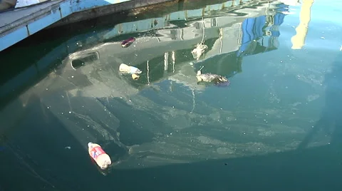 Trash in the Marina Stock Footage 41380705