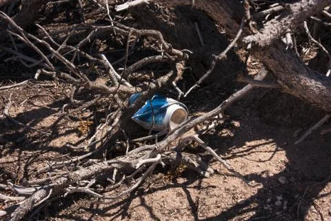 Trash in nature Stock Photos