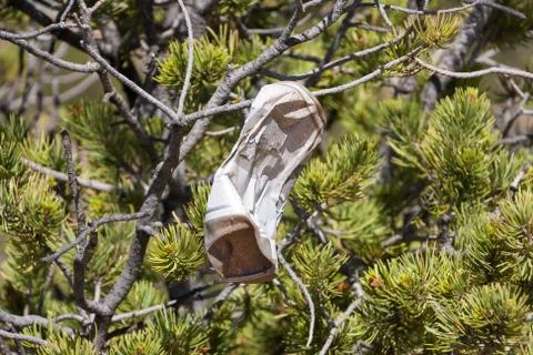 Trash in nature Stock Photos