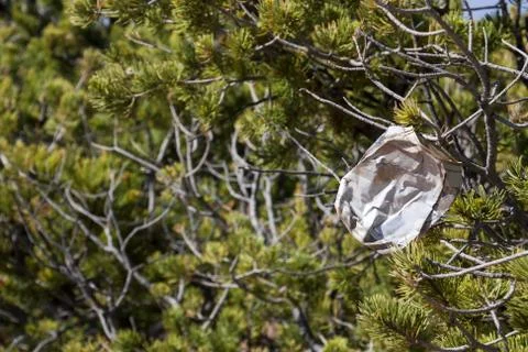 Trash in nature Stock Photos