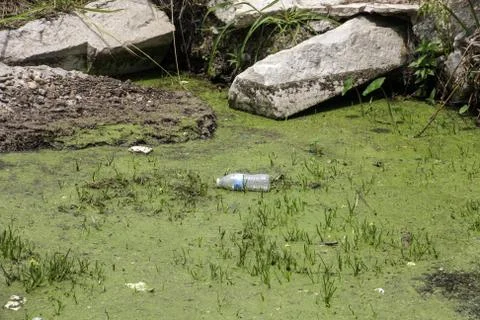 Trash in nature Stock Photos