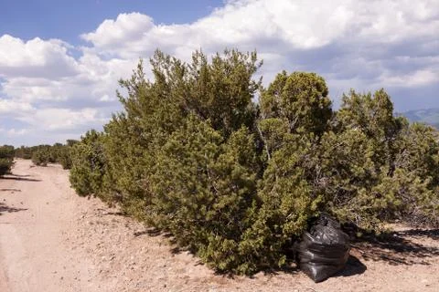 Trash in nature Stock Photos