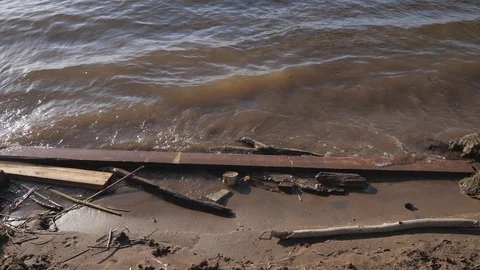 Trash is nestled into branches on beach Vídeo Stock 107178249