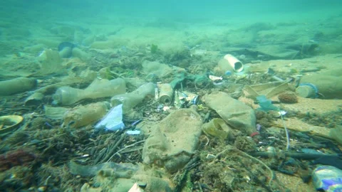 TRASH ON THE OCEAN FLOOR Stock Footage 143425697