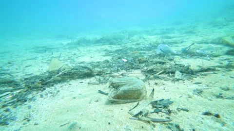 TRASH IN THE OCEAN Stock Footage 143424417