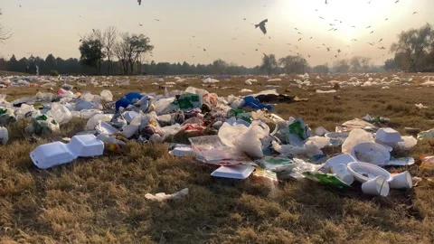A Trash in the Park with hawks in the background. 動画素材 231896588
