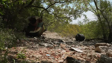 Trash on path through forest Stock Footage 219226992