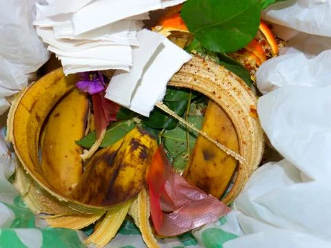 Trash. 스톡 사진