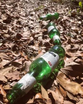 Trash 库存照片