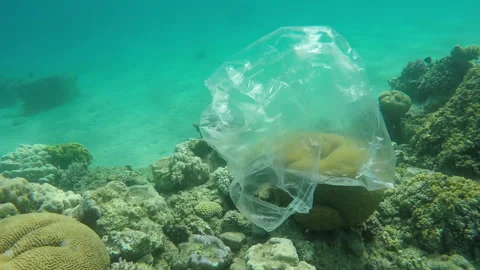 Trash plastic bag floats over coral reefs in the red sea Stock Footage