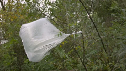 Trash plastic bag in the wind on a tree. 스톡 동영상 114732012