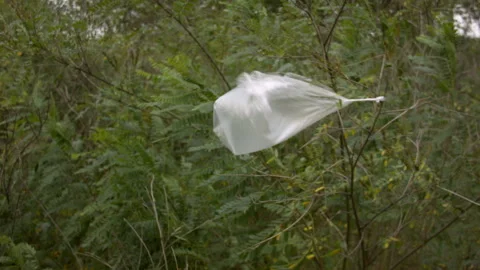 Trash plastic bag in the wind on a tree. Vidéo 114732063