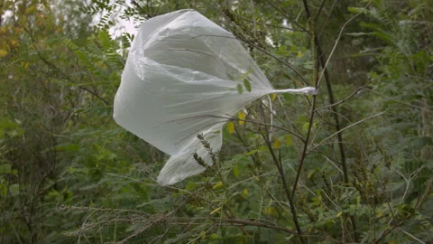 Trash plastic bag in the wind on a tree. Vidéo 114732400