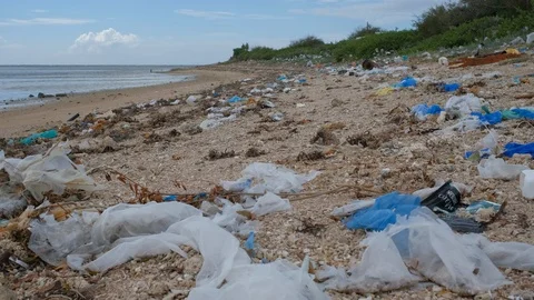 Trash, plastic, garbage, bottle... environmental pollution on the beach Stock Footage 109270413